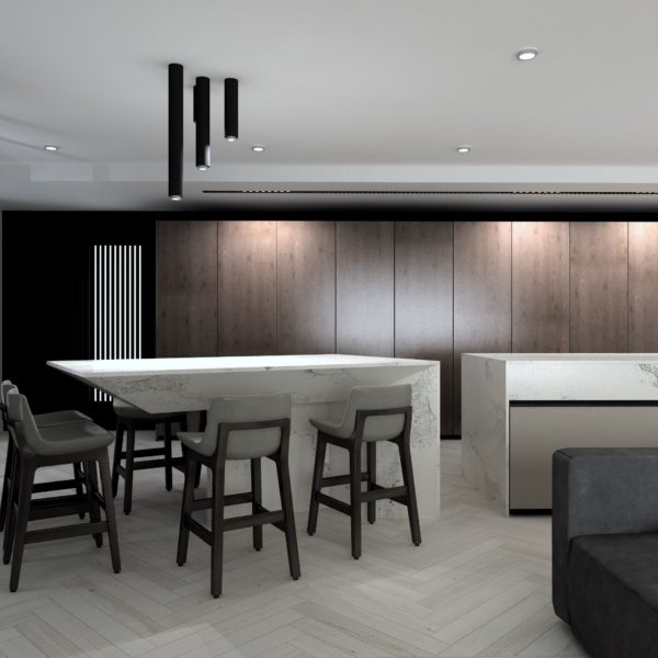 Modern breakfast bar
